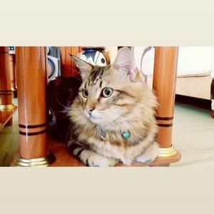 Meet your Posher, Whitney